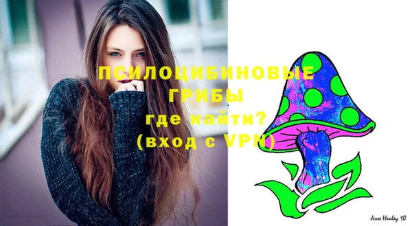 мескалин Бородино